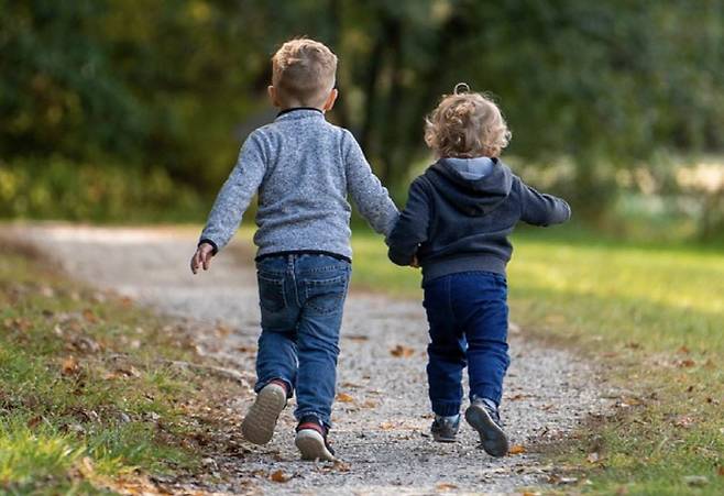 자료사진 출처=픽사베이