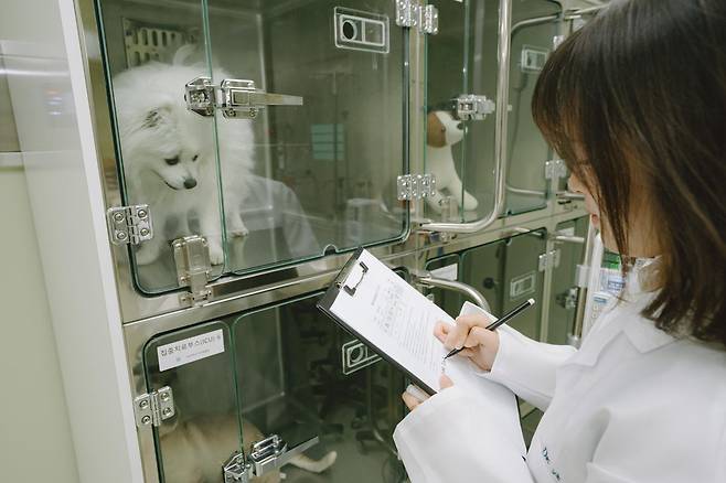 반려동물보건과. 서정대 제공