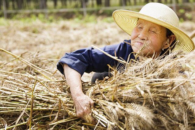 농촌 인구 감소와 고령화 속에서 의료를 중심으로 한 ‘찾아가는 농촌 서비스’가 정책 핵심으로 자리 잡는 모습이다. 사진은 기사의 특정 사실과 관련 없음. 클립아트코리아