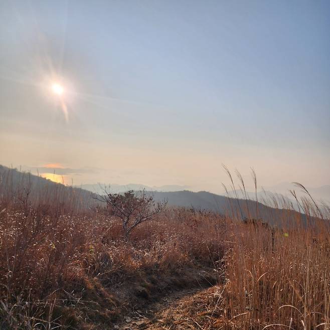 천관산 풍경