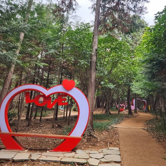 피톤치드 가득한 장흥 우드랜드