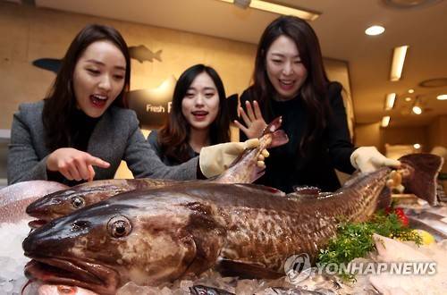 17kg 대물 대구 [연합뉴스 자료 사진]