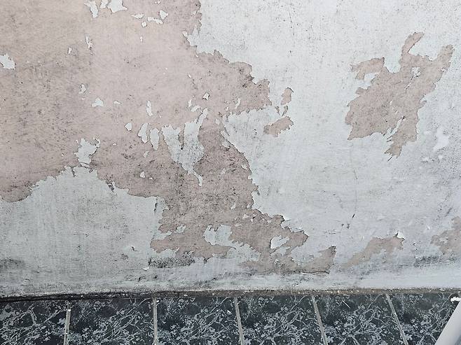 A씨는 자택 베란다의 결로 예방을 위해 인테리어 시공을 하고 나서 결로 피해를 입었다. /독자 제공