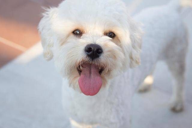 게티이미지뱅크