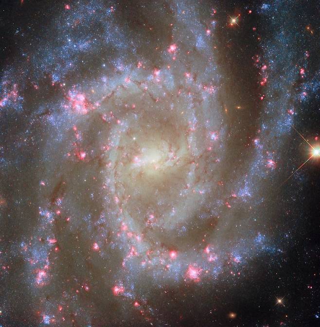 허블 우주망원경이 관측한 나선은하 NGC 2835의 모습. ESA/Hubble & NASA