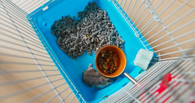 해당 기사와 무관. 클립아트코리아