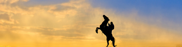 김진홍 기자 solmin@idaegu.com