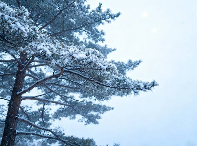 새해 첫날, 서울 아침 영하 -11도, 추위속 해돋이