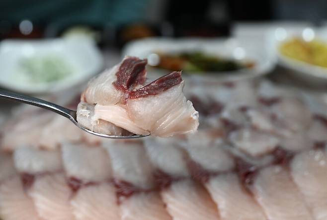겨울 미식의 최고봉 삼치. 두툼하게 썰린 삼치회는 보기만 해도 침이 고인다. 박미향 기자