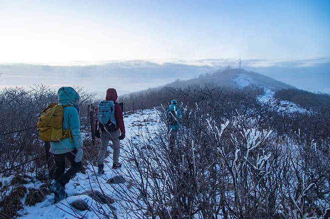 태백산은 겨울 산행에 제격이다. 2시간 안에 정상에 오를 수 있고, 설경이나 상고대를 볼 확률도 높아서다. 능선을 따라 천제단으로 가는 산행객들.