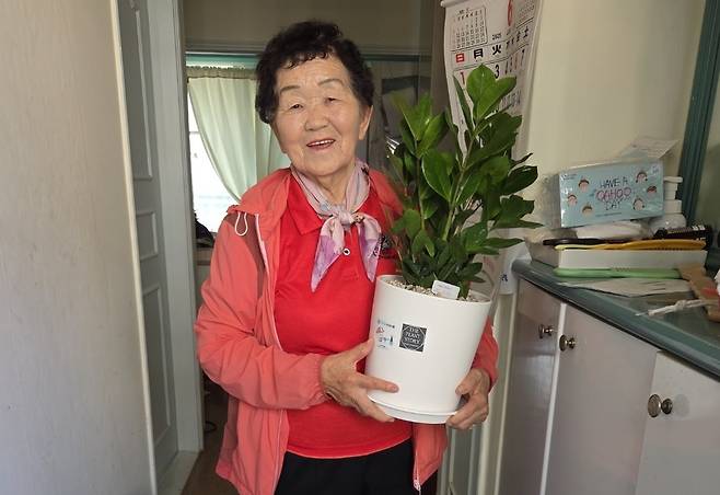 서울 중랑구는 어르신의 정서적 안정을 위해 반려식물을 제공하고 있다. [중랑구 제공]