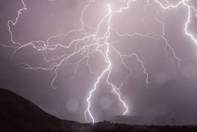 자료사진 출처=픽사베이