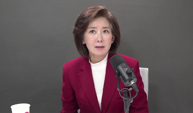 나경원 국민의힘 의원. [이영풍TV 갈무리]