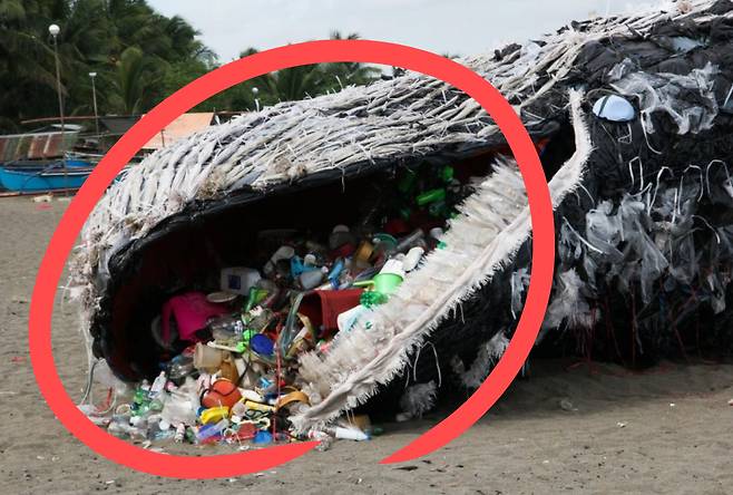 필리핀 마닐라에 설치된 질식한 고래 모형.[그린피스 제공]