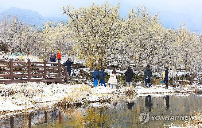 2025년 구례산수유꽃축제 기간 눈이 내린 모습 [구례군 제공. 재판매 및 DB 금지]