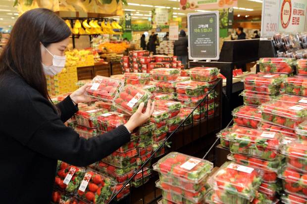 이마트 한 점포에서 고객이 할인 행사 품목인 딸기를 살펴보고 있다. 사진=이마트 제공