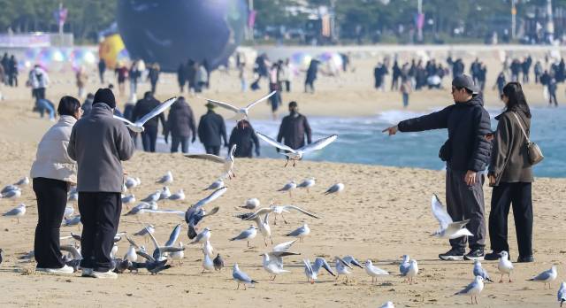 휴일인 4일 오후 부산 해운대해수욕장을 찾은 나들이객들이 갈매기와 함께 여유로운 시간을 보내고 있다. 김종진 기자 kjj1761@