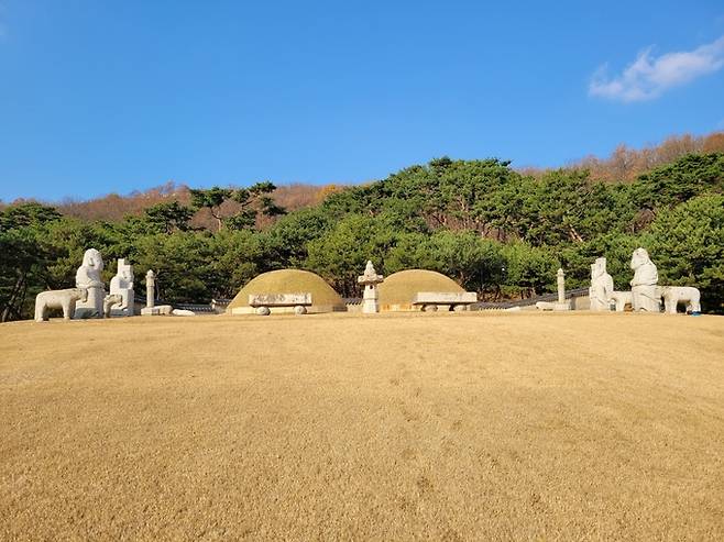 [하인수 박사의 조선왕릉 이야기] 26. 조선왕릉 정원군의 장릉