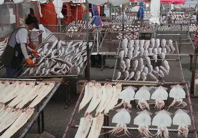 Dried seafood, including squid, is seen at a traditional fisheries market in Busan on Sept. 29, 2025. [YONHAP]