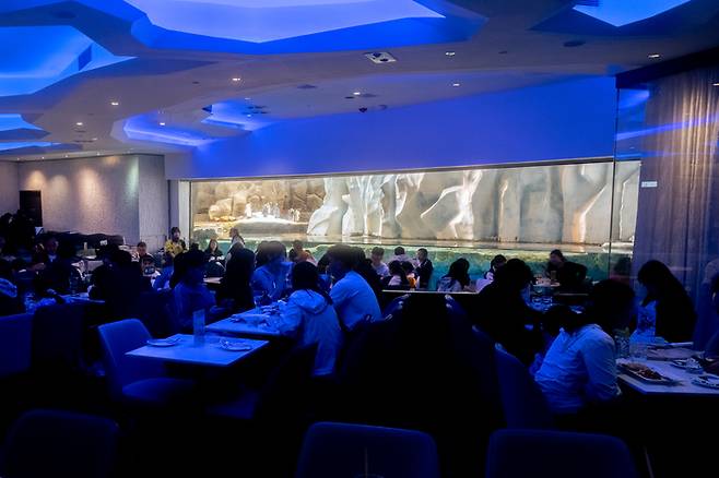 턱시도 레스토랑 / 사진 = 조형주 여행플러스 PD