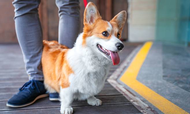 사진=게티이미지뱅크