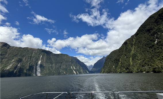 크루즈에서 바라본 밀포드 사운드 내륙 방향의 모습/ 사진=김소은