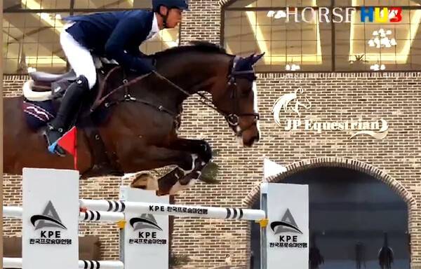 전국 18개 승마경기단체 시도협의회중 11개 협의회의 후원을 받아 한국프로승마연맹이 발족했다. /사진=한국프로승마연맹