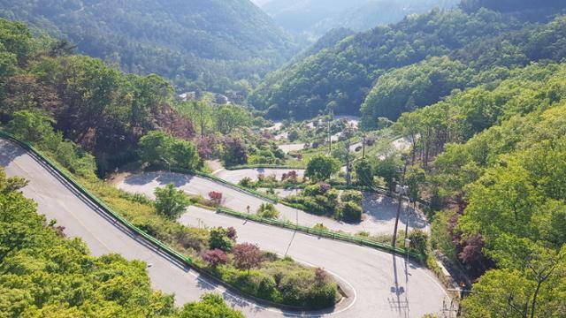 충남 태안에서 경북 울진까지 이어지는 849km 숲길 '동서트레일' 27번 구간에 있는 말티재 전망대에서 내려다 본 12굽이길. 세조가 병을 고치기 위해 속리산 복천사로 가는 길에 이 길을 올라와 넘었다. 얼마나 가팔랐던지 타고 있던 가마로는 진행이 안 돼 말로 갈아탔다는 이야기가 전해진다. 백패커들이 걷는 숲길은 사진에 보이는 차도와 별도로, 조성돼 있다. 보은군 제공