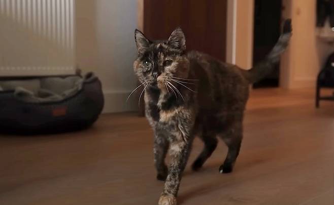 최고령 고영이 플로시. 기네스북