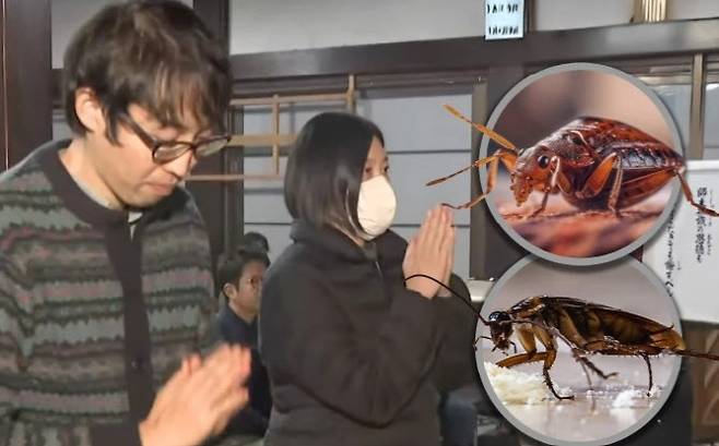일본의 한 살충제 회사가 제품 테스트를 위해 희생된 곤충들을 위해 추모식을 열어 화제다. (사진=SCMP)