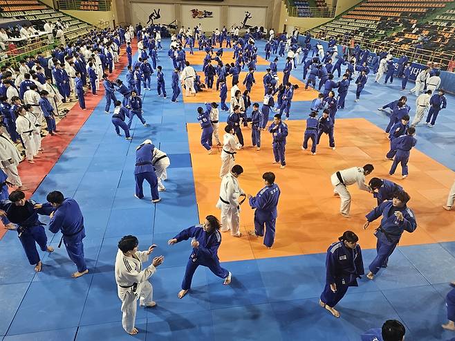 동해시에서 훈련 중인 유도 선수들 [동해시 제공. 재판매 및 DB 금지]