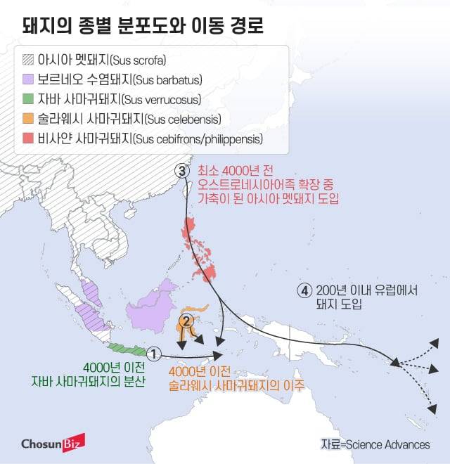 그래픽=정서희