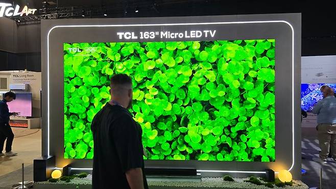 'CES 2026' 관람객이 TCL 부스에서 163인치 마이크로 LED TV를 보고 있다. ⓒ데일리안 고수정 기자