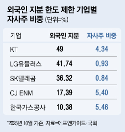 외국인 지분 한도 제한 기업별 자사주 비중