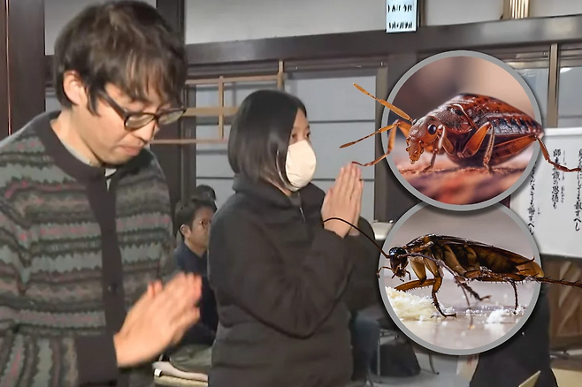 곤충 추모식. [SCMP 갈무리]