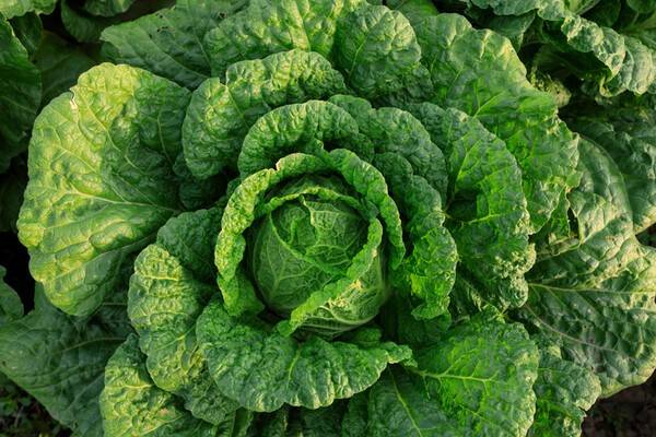 사진 게티이미지뱅크