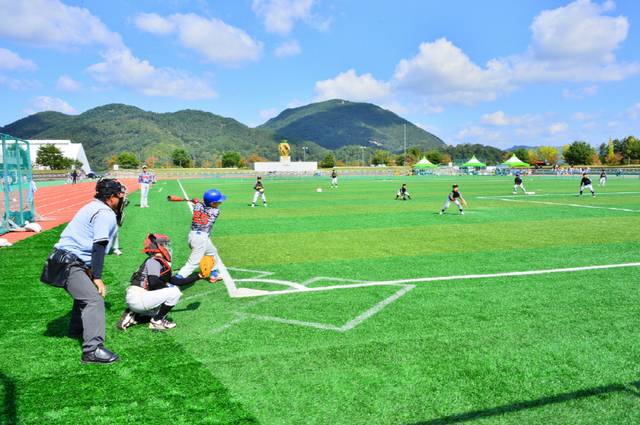 유소년 야구대회/사진=순창군제공