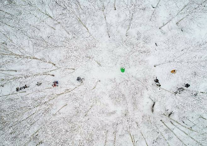 ▲ 경북 영양군 수비면 죽파리 영양자작나무숲 겨울 풍경. 영양군 제공