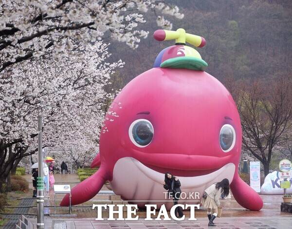 대전시 대덕구의 대표 축제인 '대덕물빛축제'가 8일 제14회 대한민국축제콘텐츠 대상에서 축제문화·예술 부문 대상을 수상하며 2년 연속 대상 수상의 영예를 안았다. 지난해 대덕물빛축제 현장 모습. /대덕구