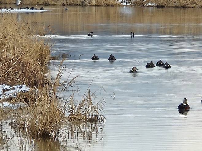 서울 최저 -9도 ‘한파’… 미세먼지 ‘좋음’ 수준 회복 [오늘날씨] =목요일인 오늘(8일) 날씨는 전국이 대체로 맑겠으나, 전라서해안과 제주도는 가끔 구름 많겠다. 아침 최저기온은 -14~-2℃, 낮 최고기온은 -3~5℃가 되겠다. 새벽부터 오후 사이 제주도에는 비 또는 눈이 내리는 곳이 있겠고, 새벽부터 오전 사이 전라서해안에는 0.1mm 미만의 빗방울이 떨어지거나 0.1cm 미만의 눈이 날리는 곳이 있겠다. ⓒbnt뉴스 오늘날씨, 내일날씨, 주간날씨 예보