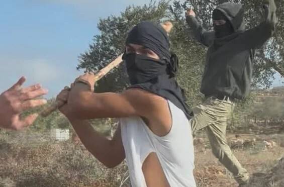 지난해 10월19일(현지시각) 이스라엘 점령된 요르단강 서안지구 투르무스 아야에서 한 유대인 정착민 청년이 올리브 수확 중이던 52살의 아파프 아부 올리바의 머리를 곤봉으로 내리쳐 중상을 입히는 사건 당시를 촬영한 영상의 장면. 출처 재스퍼 나다니엘 엑스