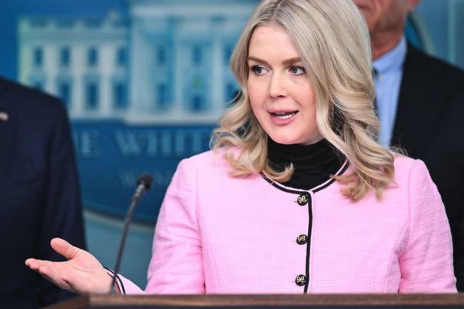 캐롤라인 레빗 미국 백악관 대변인이 7일(현지시간) 워싱턴 DC 백악관에서 언론 브리핑을 하고 있다. AFP=연합뉴스