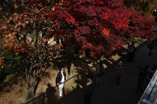 지난 11월  9일 서울숲을 찾은 시민과 관광객들이 시간을 보내고 있다. [연합뉴스]