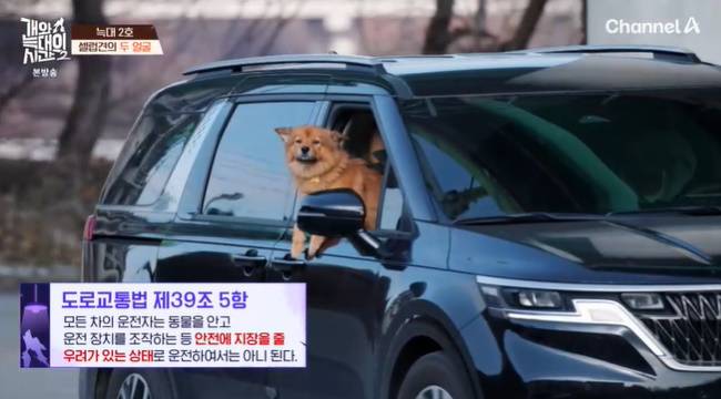 사진=채널A ‘개와 늑대의 시간 시즌2’ 캡처