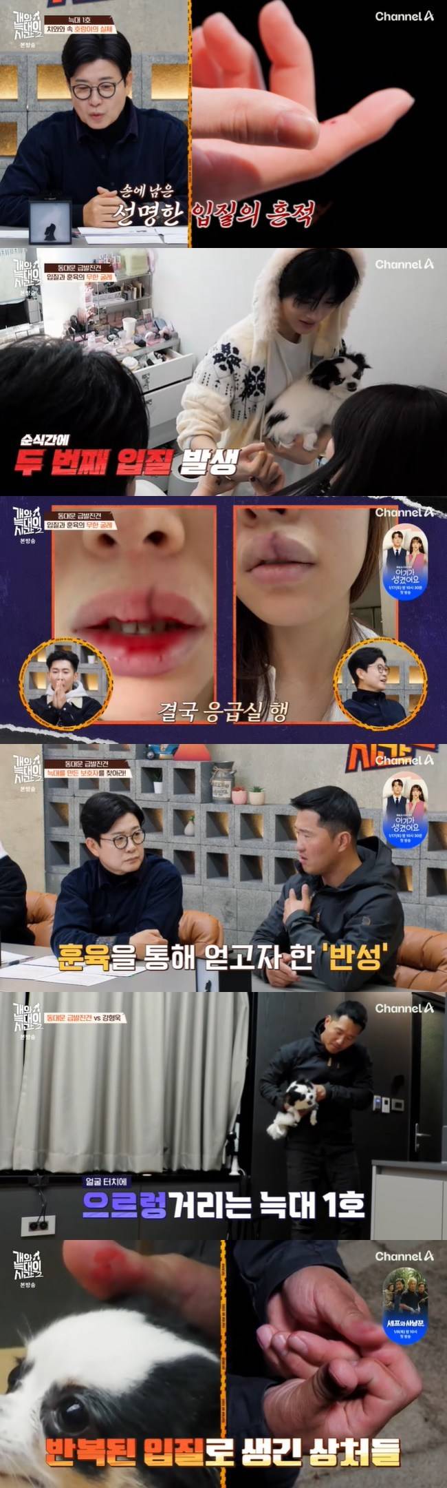 사진=채널A ‘개와 늑대의 시간 시즌2’ 캡처