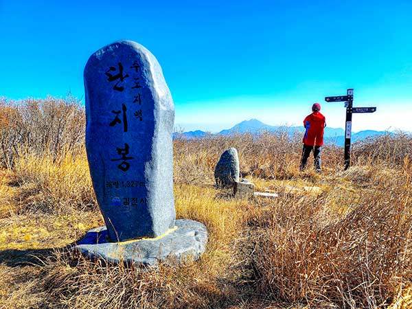단지봉 풍경. 단지봉은 덕유산과 가야산 사이의수도지맥에서 가장 높은 봉우리. 정상은 평평한고원으로 항아리를 엎어놓은 모습이라고 해서단지봉이다. 멀리 가야산을 조망한다.
