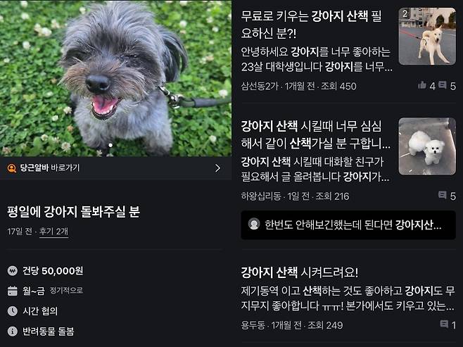Posts looking to hire someone to take care of or walk users' dogs flood Karrot, a popular app more typically used for buying and selling secondhand items locally. (Screenshot from Karrot)
