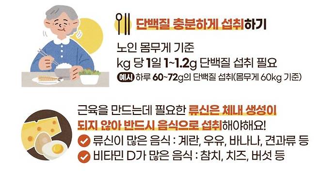 [서울=뉴시스] 식품의약품안전처에 따르면 노인 몸무게 기준 kg당 하루에 1~1.2g 단백질을 섭취해야 한다. (사진=식약처 제공) 2025.07.04. photo@newsis.com *재판매 및 DB 금지