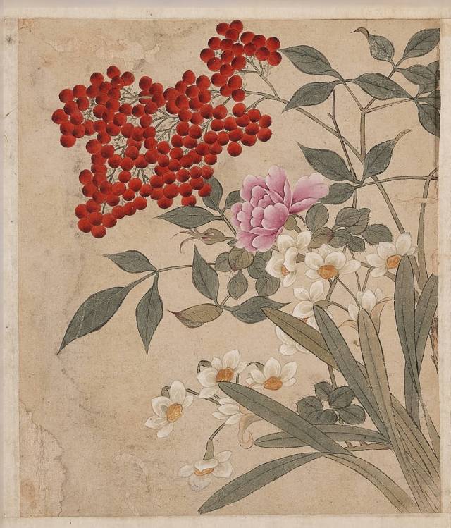 남천 열매가 풍성한 16세기 후반 「전신부인필화조도」(傳申夫人筆花鳥圖, 비단에 채색, 세로 22.7cm, 가로 19.1cm). 국립중앙박묵관 제공