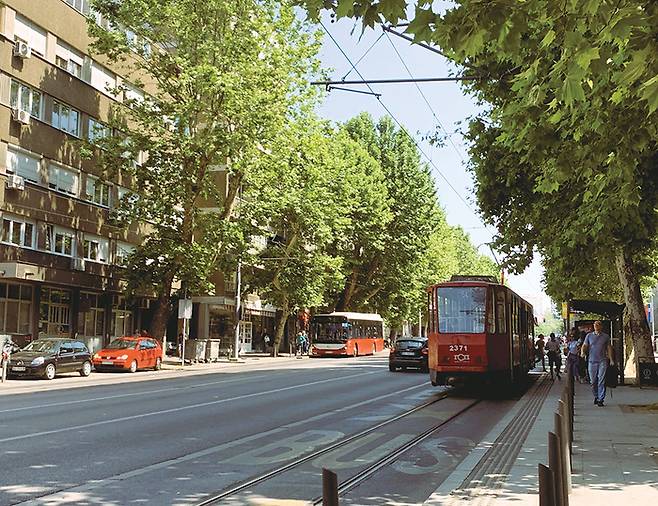 버스와 트램, 트롤리버스로 구성된 베오그라드의 대중교통